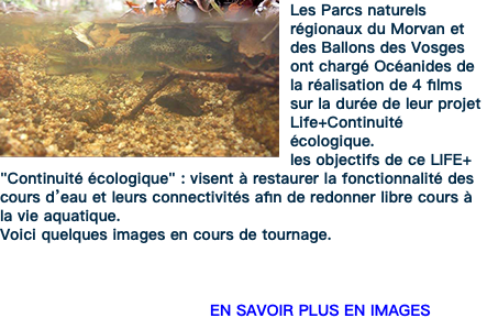 ﷯Les Parcs naturels régionaux du Morvan et des Ballons des Vosges ont chargé Océanides de la réalisation de 4 films sur la durée de leur projet Life+Continuité écologique. les objectifs de ce LIFE+ "Continuité écologique" : visent à restaurer la fonctionnalité des cours d’eau et leurs connectivités afin de redonner libre cours à la vie aquatique. Voici quelques images en cours de tournage. EN SAVOIR PLUS EN IMAGES
