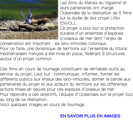 ﷯Les Amis du Marais du Vigueirat et leurs partenaires ont chargé Océanides de la réalisation de 5 films sur la durée de leur projet Life+ ENVOLL. Ce projet a pour but la protection durable d’un ensemble d’espèces d’oiseaux de mer dont l’enjeu de conservation est important : les laro-limicoles coloniaux. Pour ce faire, une dynamique de territoire sur l’ensemble du littoral méditerranéen français a été mise en place, fédérant 9 structures autour d’un projet commun. Ces films en cours de tournage constituent de véritables outils au service du projet. Leur but : communiquer, informer, former les différents publics aux enjeux des laro-limicoles, donner la parole aux partenaires du projet et aux acteurs du territoire sur les différentes actions mises en oeuvre pour ces espèces d’oiseaux de mer. Pour répondre à ces objectifs, l’équipe d’Océanides suit le projet tout au long de sa réalisation. Voici quelques images en cours de tournage. EN SAVOIR PLUS EN IMAGES